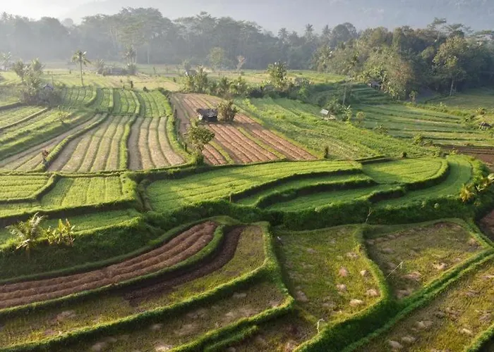 The Kubu Authentic Quite Place With View (adults Only)