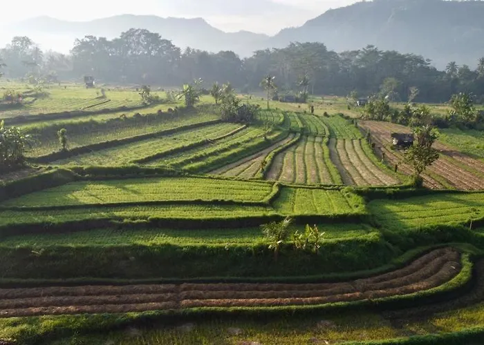 The Kubu Authentic Quite Place With View (adults Only) Villa *