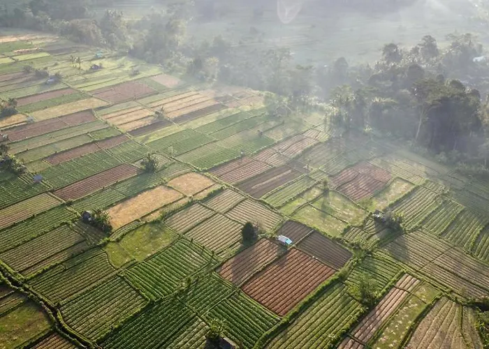 The Kubu Authentic Quite Place With View (adults Only) Silebeng